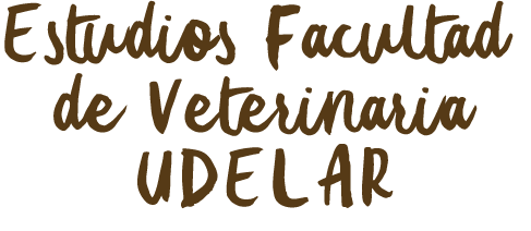 titulo-5